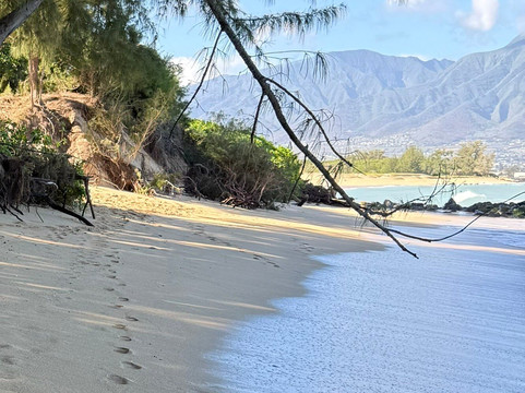 Kanaha Beach Park-卡胡卢伊必去景点