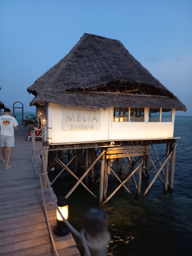 桑给巴尔美利亚酒店-官方