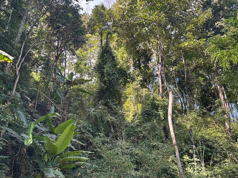 Trailhead-清迈必去景点