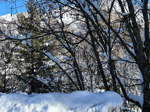 Piani di Bobbio Barzio Valtorta-Barzio必去景点