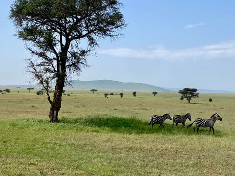 Latitude Explorers-Fontenay-les-Briis必去景点
