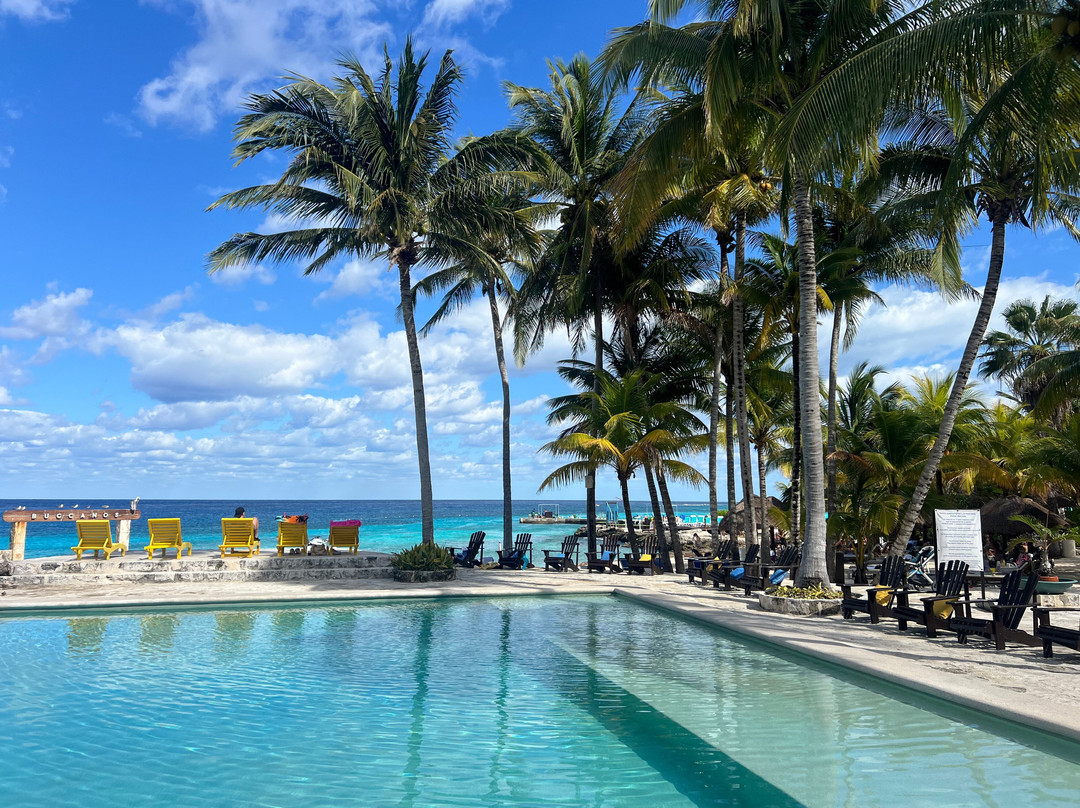 Buccanos Grill & Beach Club Cozumel-考祖梅必去景点