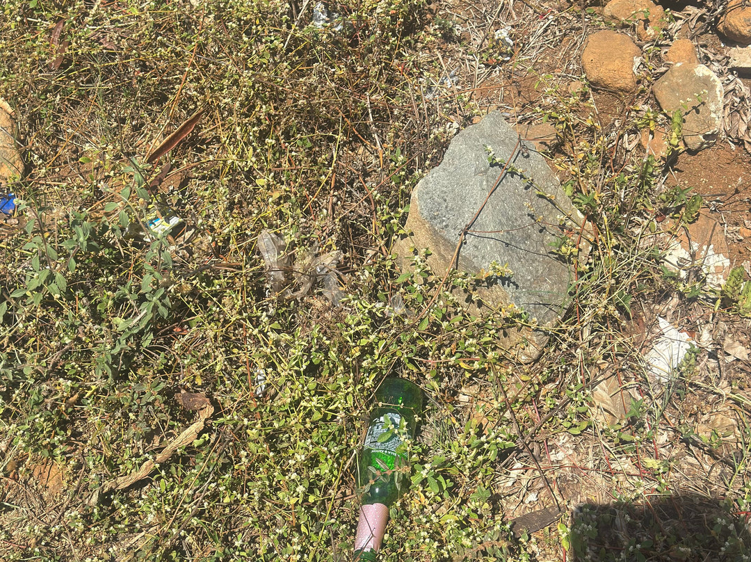 Vila dos Remedios-费尔南多-迪诺罗尼亚群岛必去景点