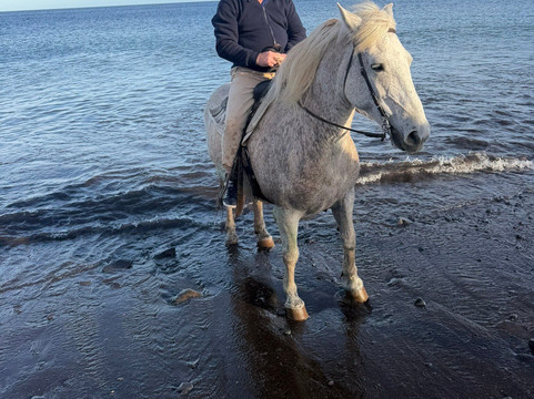 Lanzarote a Caballo-兰萨罗特必去景点