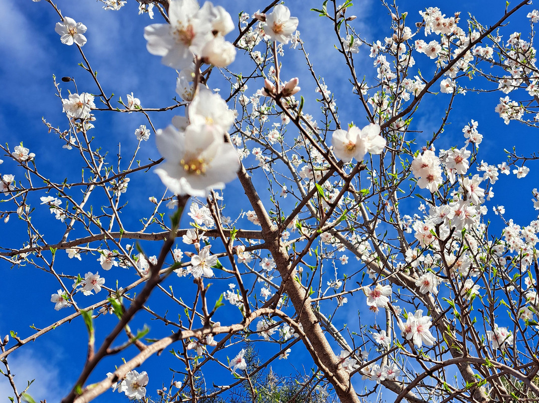 Valencia Mountain Enthusiasts-巴伦西亚必去景点