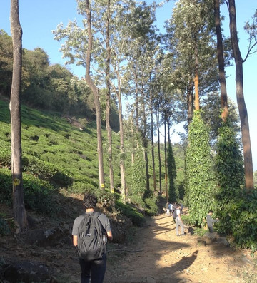 Chembra Peak-瓦亚纳德区必去景点