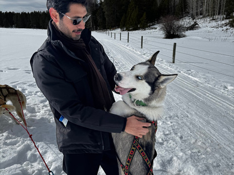 Call of the WYld Dogsled Tours-提顿村必去景点