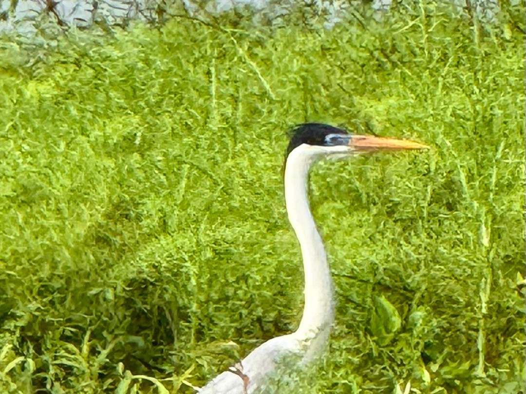 Rudy's Tours-巴拿马城必去景点