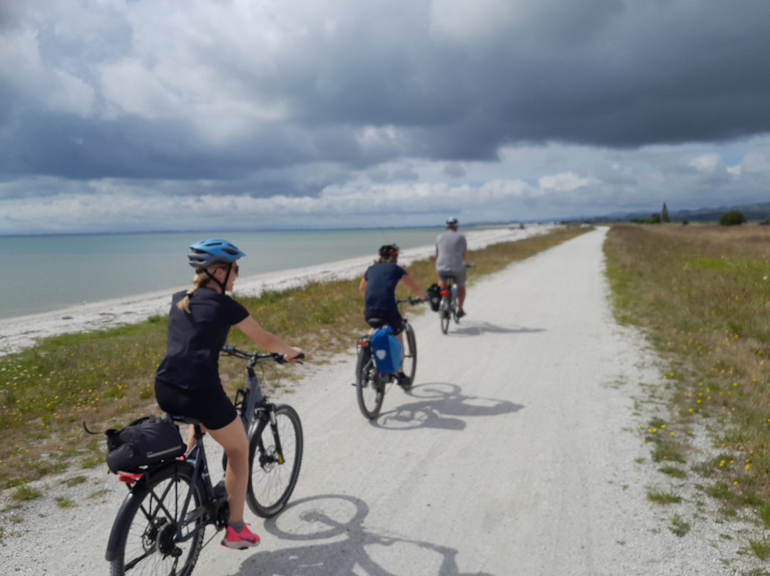 Shorebird Cycles-Kaiaua必去景点