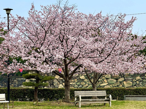 玉藻公园-高松市必去景点