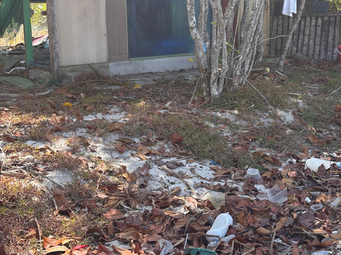 猴子岛-巴巷海滩必去景点