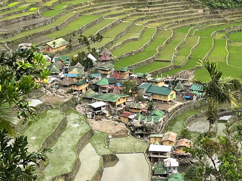 Ramon's Native Homestay主图