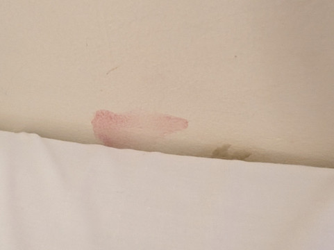 斯图尔特酒店主图