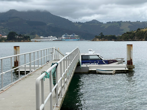 Port To Port Cruises and Wildife Tours-Port Chalmers必去景点