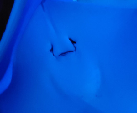 Cairns Aquarium-凯恩斯必去景点