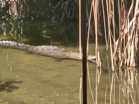 Puerto Maya Cancún-坎昆必去景点