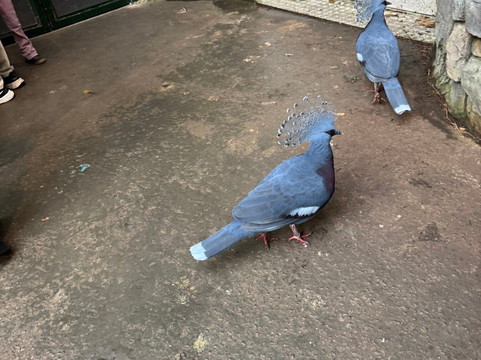 丹麦国家水族馆-哥本哈根必去景点