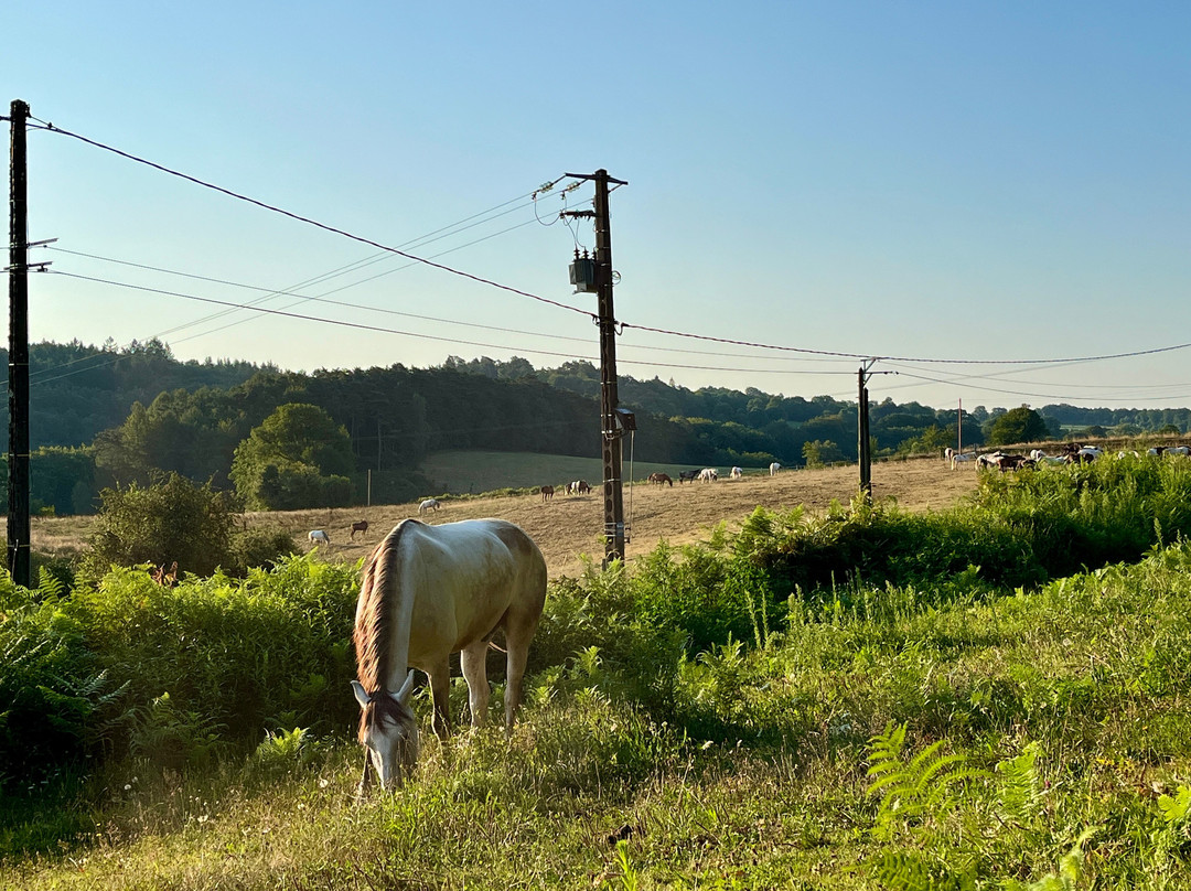 Ferme Équestre Du Mialaret-Camps-Saint-Mathurin-Leobazel必去景点