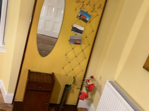 The Dolphin Inn Hostel主图