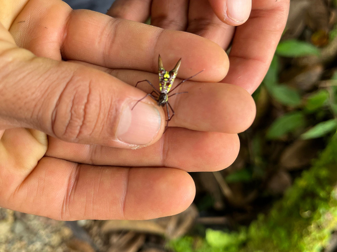 EL Jardín Lodge & Spa主图