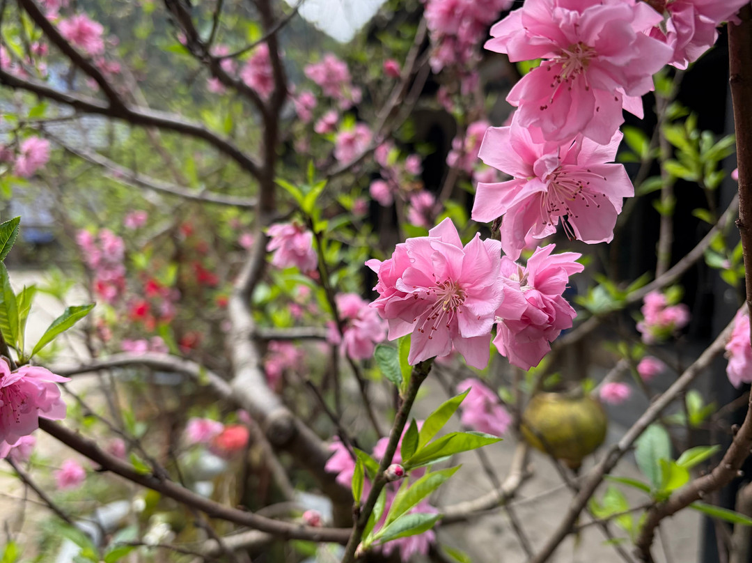 Ha Giang Open Tour- OHC Travel ( Ha Giang & Cao Bang Loop Tour)-Hoan Kiem必去景点