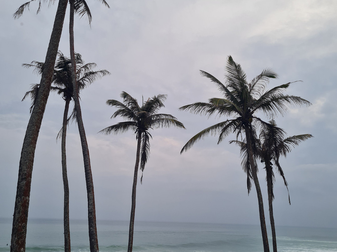 Ceylon Voyageur-Gampaha必去景点