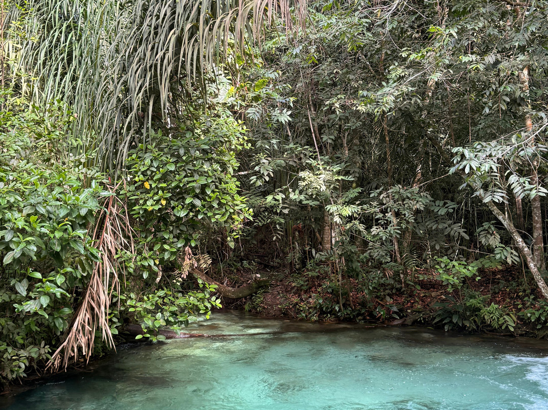 Jalapao 360° -Aventura Eco-Palmas必去景点