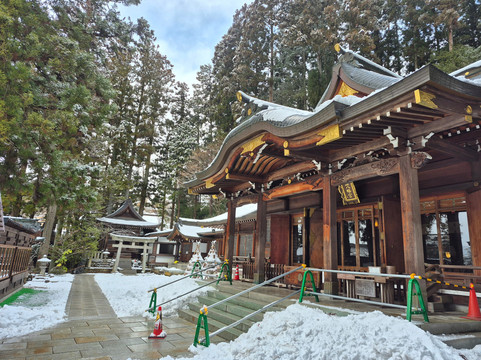 Sakurayama Hachimangu Shrine-高山市必去景点