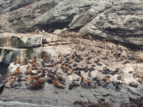 Turismo Physalus-Chanaral de Aceituno必去景点