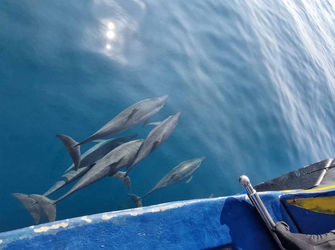 Murakabay Maldives Dive Center-乌库拉斯必去景点