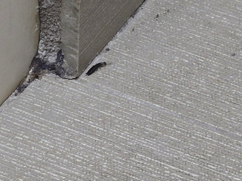 卡尔霍恩速8酒店主图