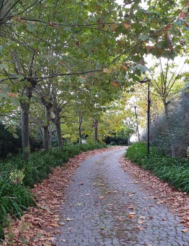 Quinta Da Touca