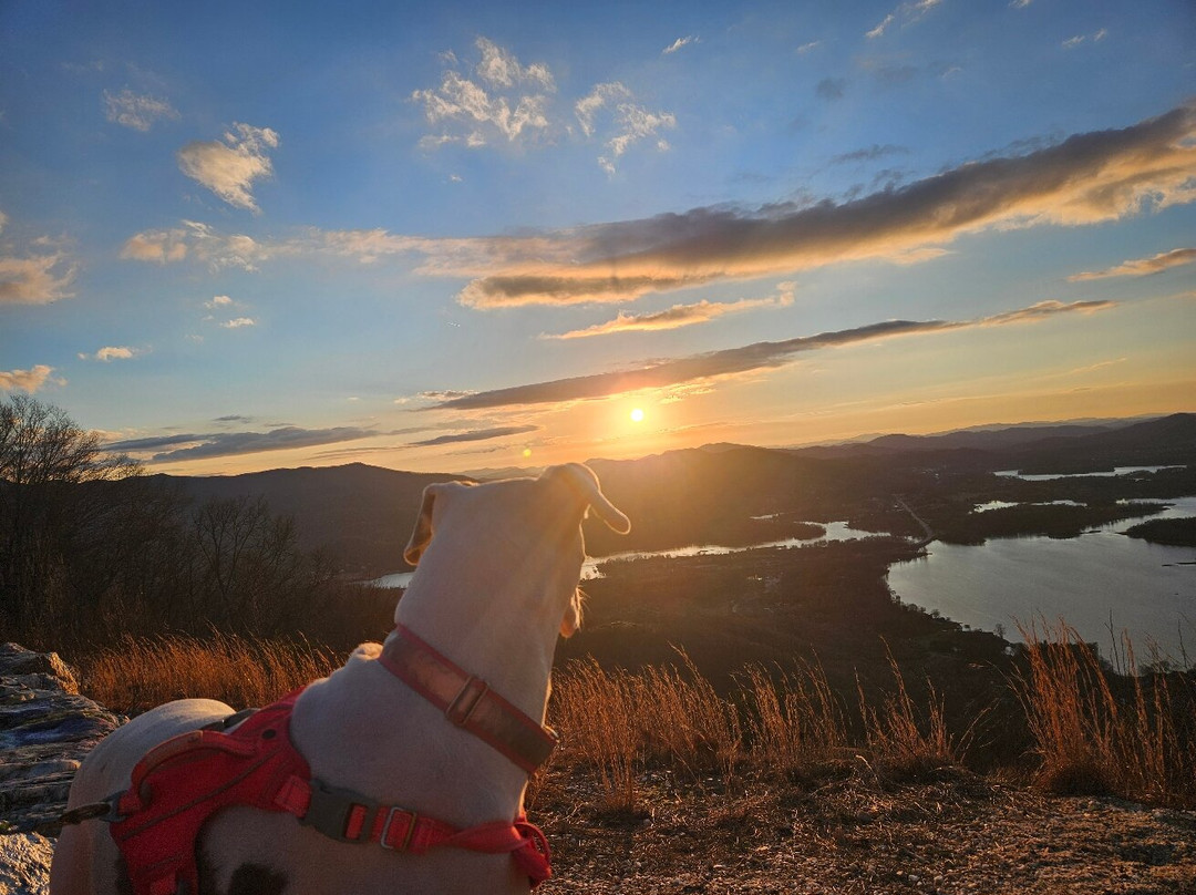 Bell Mountain-Hiawassee必去景点