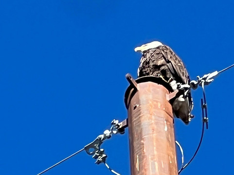 鹰冠度假酒店主图