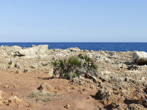 Riserva di Vendicari-诺托必去景点