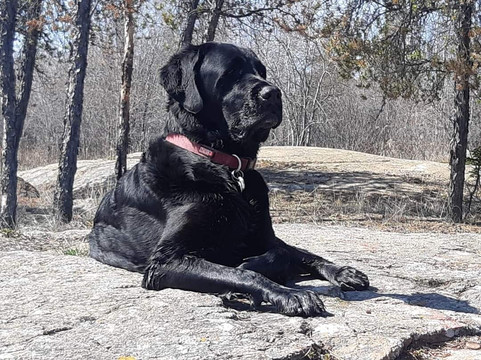 Cameron Falls Trail-黄刀镇必去景点
