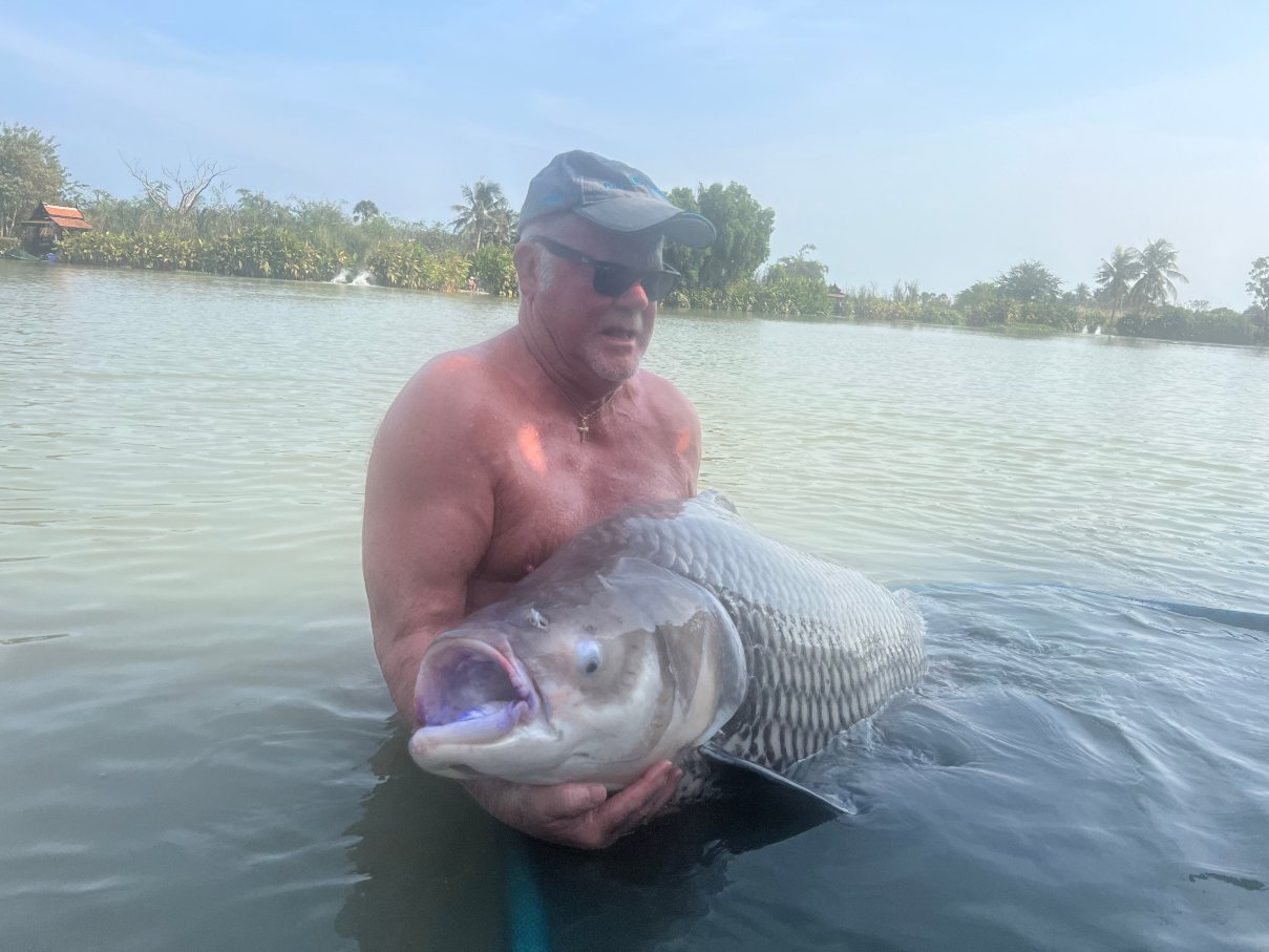 Jurassic Mountain Resort-官方