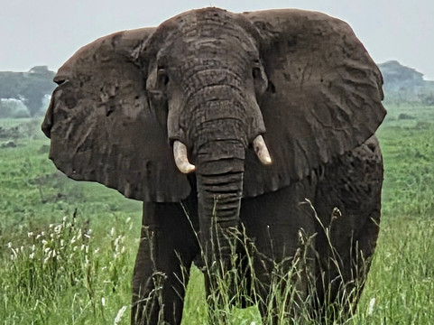 Empirical Tour and Travel Ltd-吉塞尼必去景点