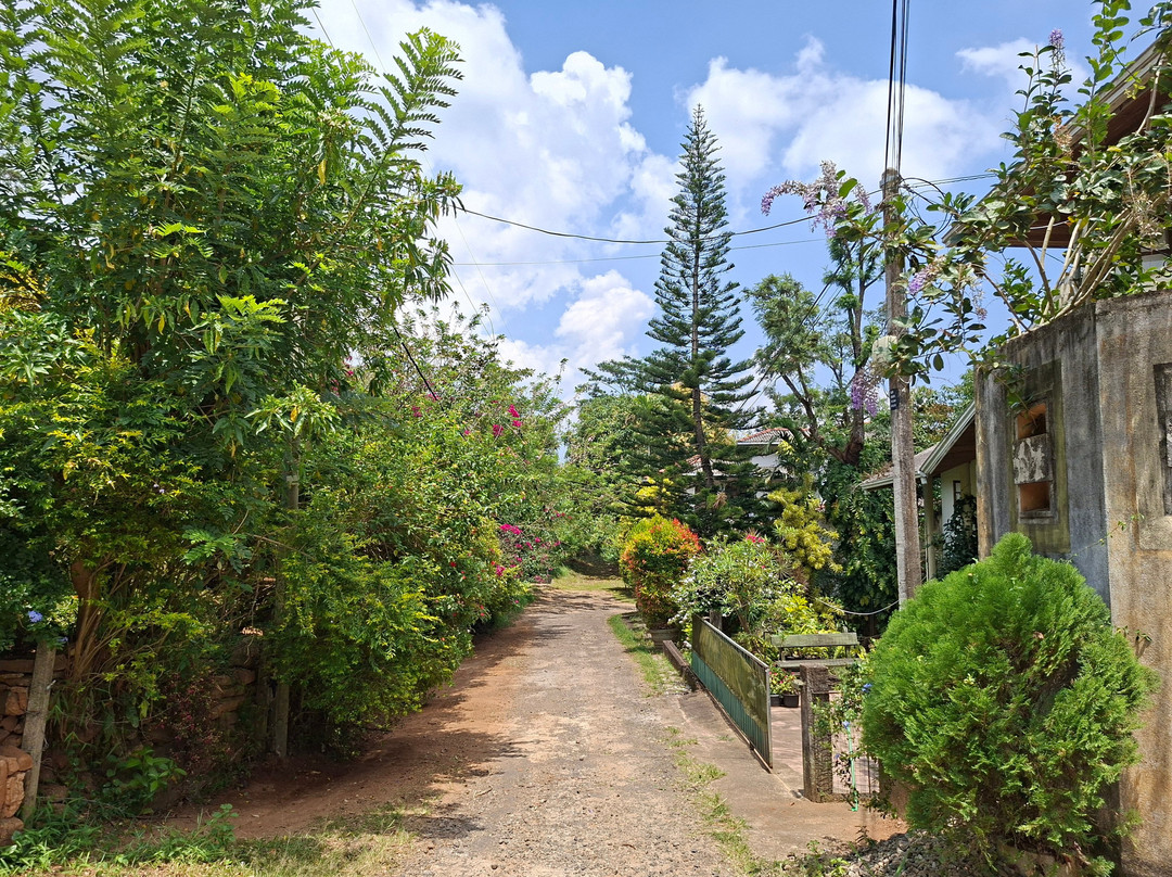 Green Chaya spa Ayurvedic Treatment Center-康提必去景点