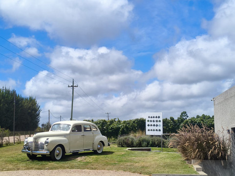 Pizzorno Family Estates-Canelones必去景点