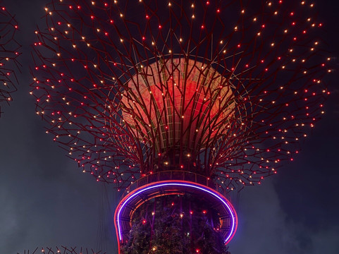 擎天树丛-新加坡必去景点