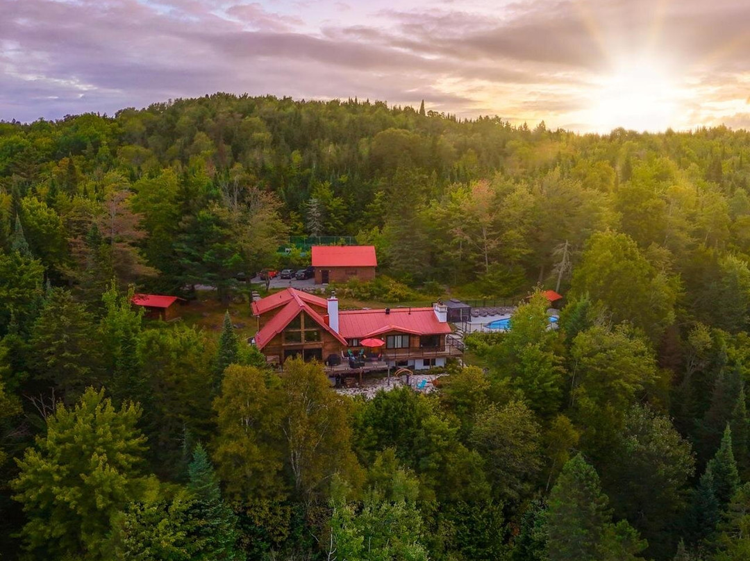 Les Oursons Bed and Breakfast