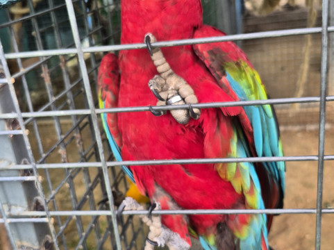 Quinta Fotoplanet Farm-阿尔布赞拉必去景点