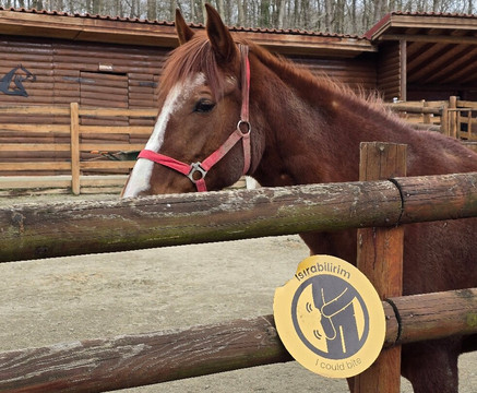 Ormanya-Kartepe必去景点