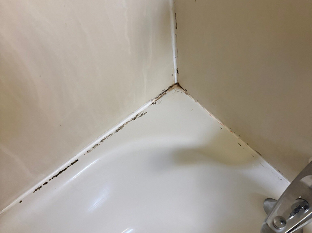 克里斯琴斯堡 I-81 舒适套房酒店主图