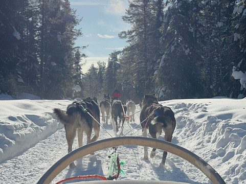 Era-Susi Huskies - Day Tours-Rukatunturi必去景点