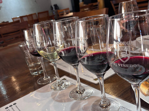 RJ Vinedos-路冉得库约必去景点