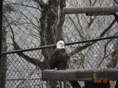 Grandfather Mountain State Park-Banner Elk必去景点