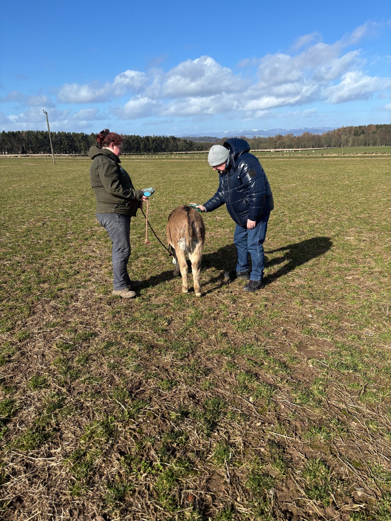 Newton Farm Holidays & Tours-官方