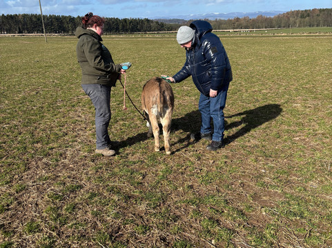 Newton Farm Holidays & Tours主图